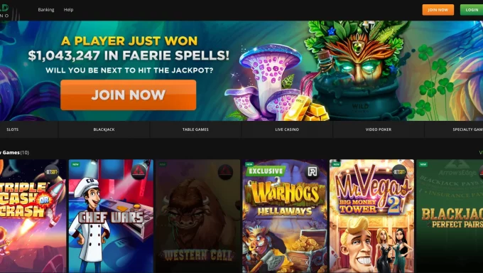 Wild Casino Review: Get the Lowdown on Games, Bonuses, Payment Options in USA